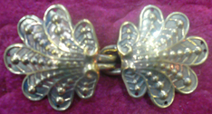 bronze venus oyster clasp