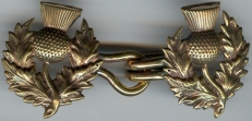 bronze thistle clasp