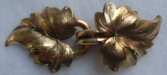 Ivy, Heart Leaf - hook and eye