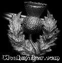 Scottish Thistle - Single<br>Silvertone