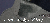 click to show bigger picture